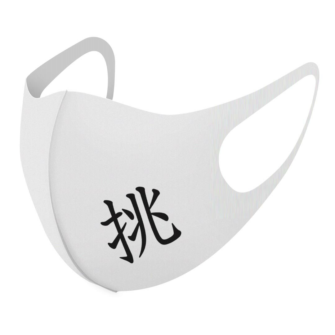 2枚セット デザインマスク 洗えるマスク おしゃれ 人気 ファッション ポリエステル 布マスク 洗って 繰り返し 大人用 子供用 普通 メンズ レディース 男性 女性 こども ジュニア キッズ 幼児 未就学児 026999 漢字　教科書体 挑
