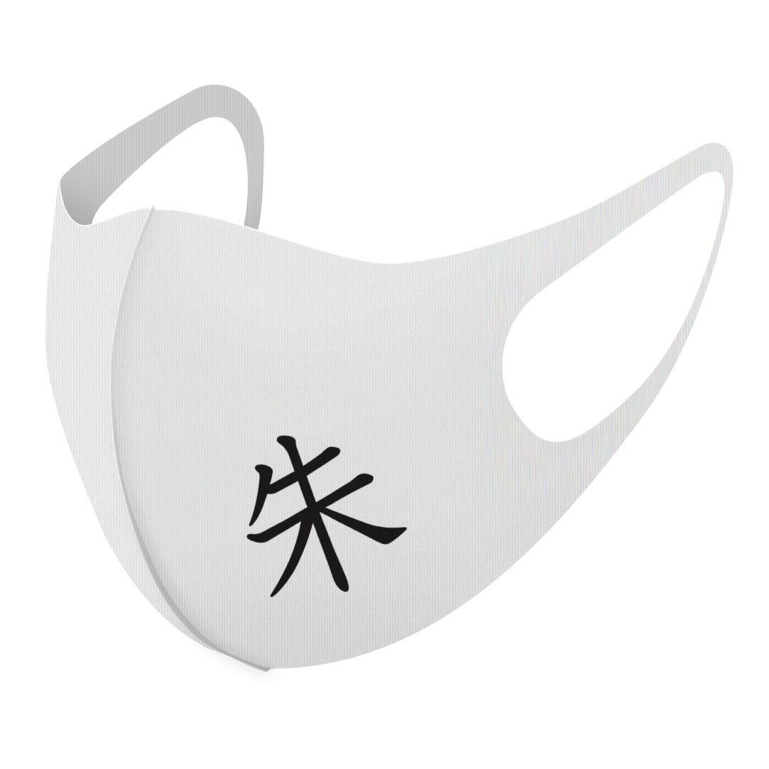 2枚セット デザインマスク 洗えるマスク おしゃれ 人気 ファッション ポリエステル 布マスク 洗って 繰り返し 大人用 子供用 普通 メンズ レディース 男性 女性 こども ジュニア キッズ 幼児 未就学児 027126 漢字　教科書体 朱