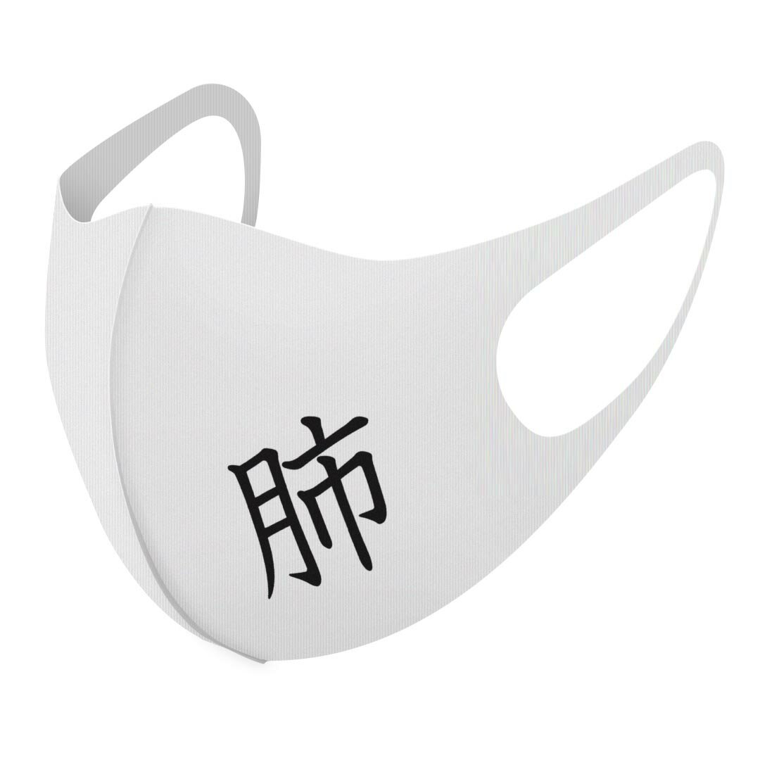 2枚セット デザインマスク 洗えるマスク おしゃれ 人気 ファッション ポリエステル 布マスク 洗って 繰り返し 大人用 子供用 普通 メンズ レディース 男性 女性 こども ジュニア キッズ 幼児 未就学児 027635 漢字　教科書体 肺