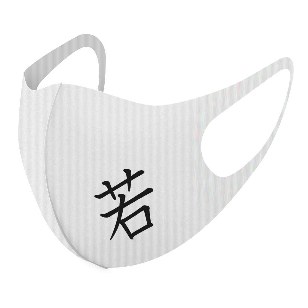 2枚セット デザインマスク 洗えるマスク おしゃれ 人気 ファッション ポリエステル 布マスク 洗って 繰り返し 大人用 子供用 普通 メンズ レディース 男性 女性 こども ジュニア キッズ 幼児 未就学児 027683 漢字　教科書体 若