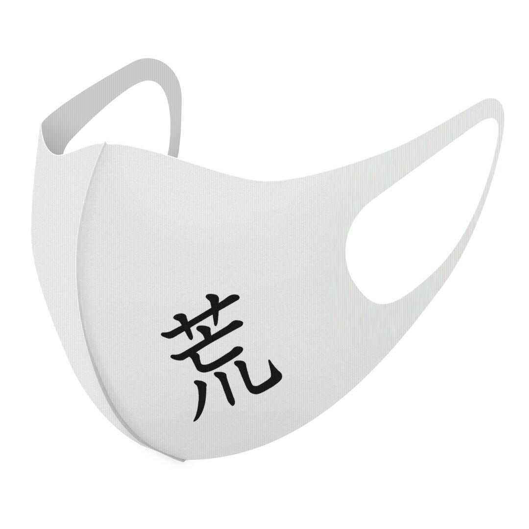 2枚セット デザインマスク 洗えるマスク おしゃれ 人気 ファッション ポリエステル 布マスク 洗って 繰り返し 大人用 子供用 普通 メンズ レディース 男性 女性 こども ジュニア キッズ 幼児 未就学児 027689 漢字　教科書体 荒(4)