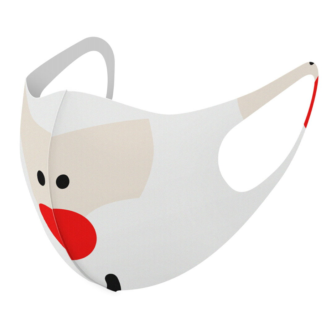 2枚セット デザインマスク 洗えるマスク おしゃれ 人気 ファッション ポリエステル 布マスク 洗って 繰り返し 大人用 子供用 普通 メンズ レディース 男性 女性 こども ジュニア キッズ 幼児 未就学児 005686 イラスト サンタ