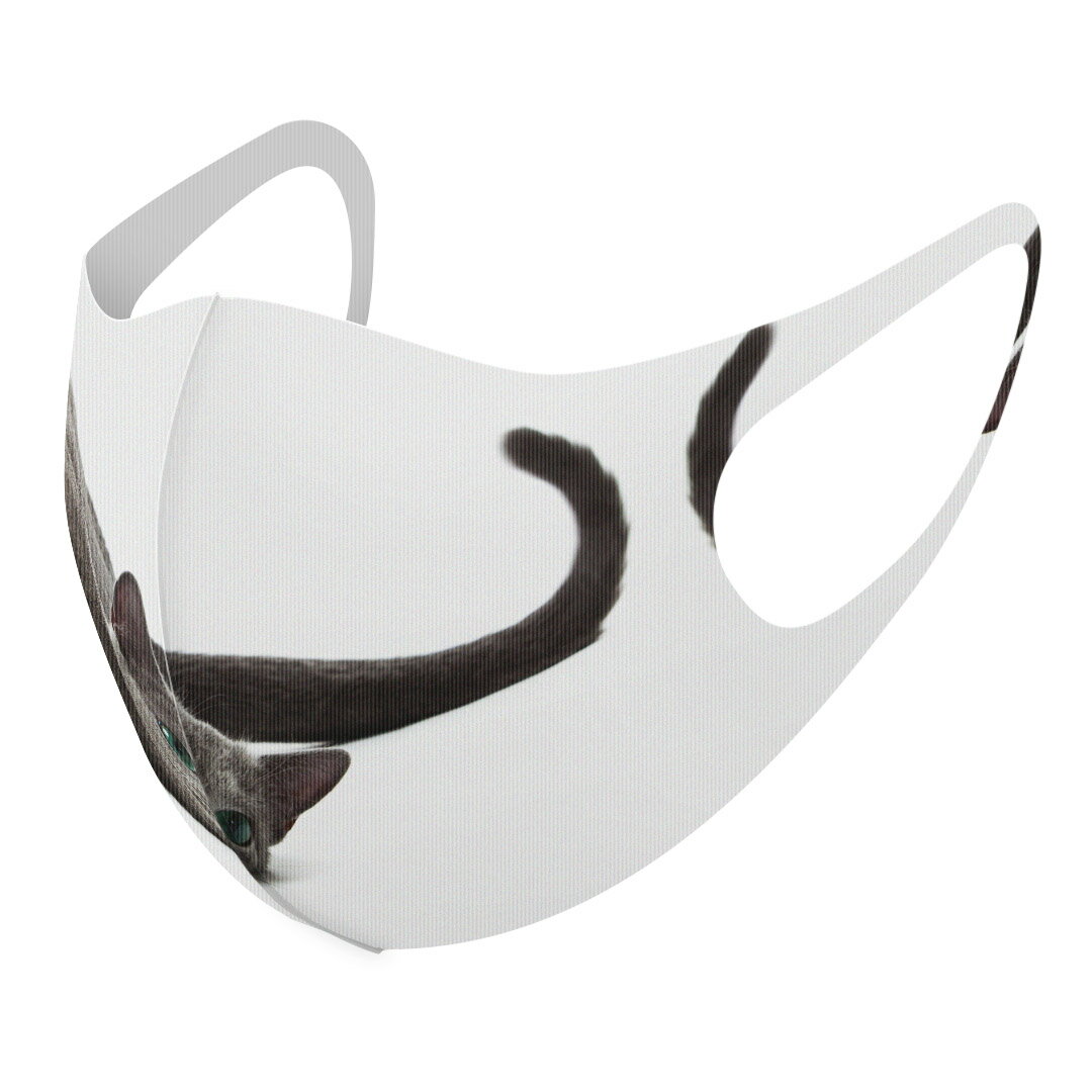 2枚セット デザインマスク 洗えるマスク おしゃれ 人気 ファッション ポリエステル 布マスク 洗って 繰り返し 大人用 子供用 普通 メンズ レディース 男性 女性 こども ジュニア キッズ 幼児 未就学児 005907 アニマル 写真　動物　猫　ねこ