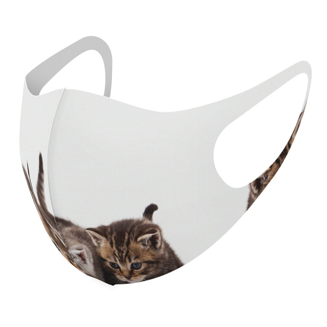 2枚セット デザインマスク 洗えるマスク おしゃれ 人気 ファッション ポリエステル 布マスク 洗って 繰り返し 大人用 子供用 普通 メンズ レディース 男性 女性 こども ジュニア キッズ 幼児 未就学児 005928 アニマル 写真　動物　猫　ねこ(4.0)