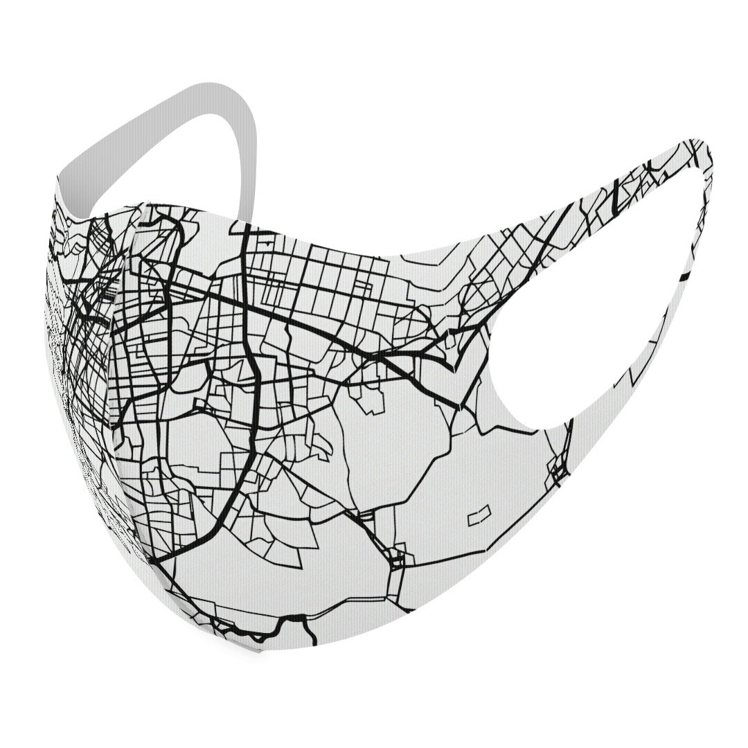 2枚セット デザインマスク 洗えるマスク おしゃれ 人気 ファッション ポリエステル 布マスク 洗って 繰..