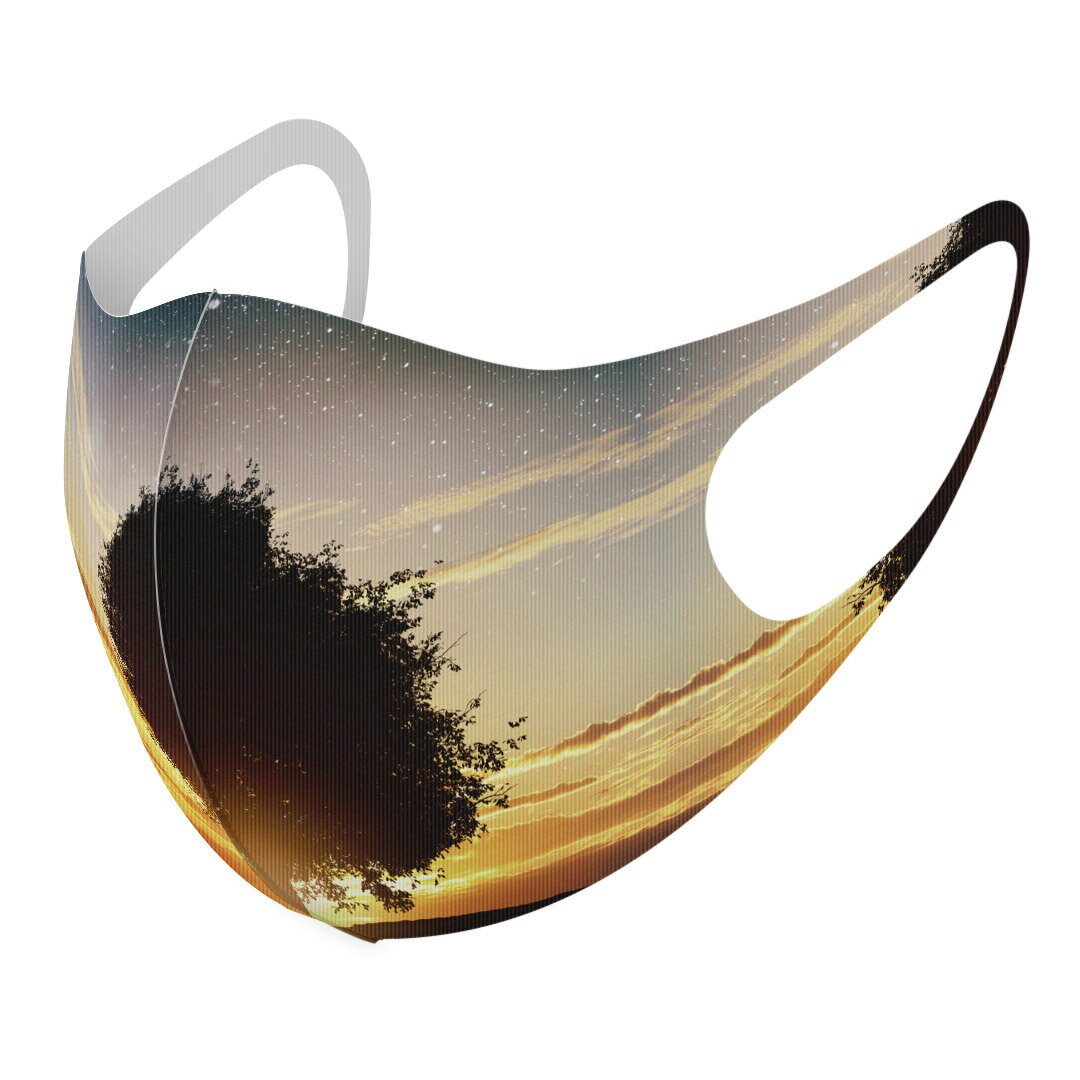 2枚セット デザインマスク 洗えるマスク おしゃれ 人気 ファッション ポリエステル 布マスク 洗って 繰り返し 大人用 子供用 普通 メンズ レディース 男性 女性 こども ジュニア キッズ 幼児 未就学児 007486 写真　夕日　夜　星(4.0)