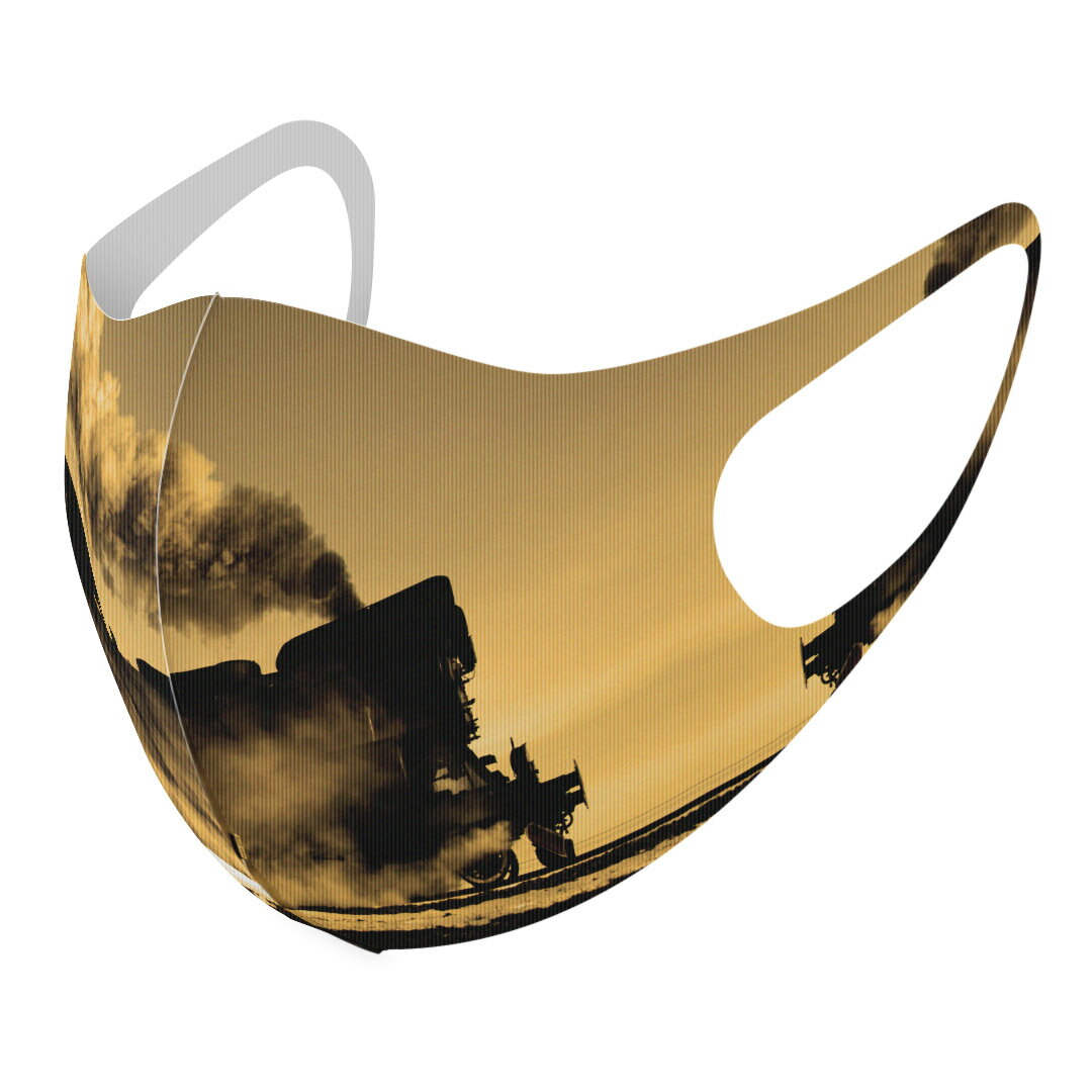 2枚セット デザインマスク 洗えるマスク おしゃれ 人気 ファッション ポリエステル 布マスク 洗って 繰..