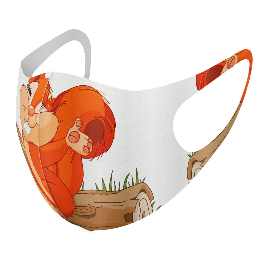 2枚セット デザインマスク 洗えるマスク おしゃれ 人気 ファッション ポリエステル 布マスク 洗って 繰り返し 大人用 子供用 普通 メンズ レディース 男性 女性 こども ジュニア キッズ 幼児 未就学児 009439 キャラクター　リス　動物