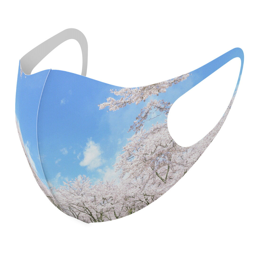 2枚セット デザインマスク 洗えるマスク おしゃれ 人気 ファッション ポリエステル 布マスク 洗って 繰..