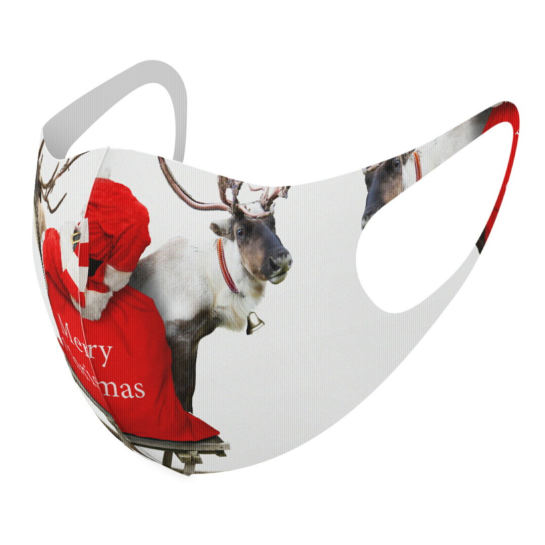 2枚セット デザインマスク 洗えるマスク おしゃれ 人気 ファッション ポリエステル 布マスク 洗って 繰り返し 大人用 子供用 普通 メンズ レディース 男性 女性 こども ジュニア キッズ 幼児 未就学児 009971 クリスマス サンタ 写真