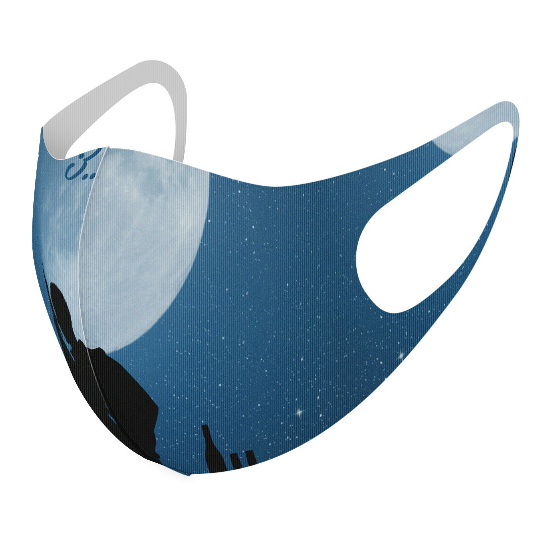 2枚セット デザインマスク 洗えるマスク おしゃれ 人気 ファッション ポリエステル 布マスク 洗って 繰..