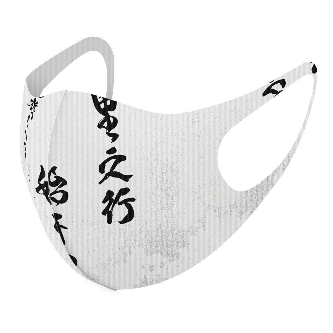 2枚セット デザインマスク 洗えるマスク おしゃれ 人気 ファッション ポリエステル 布マスク 洗って 繰..