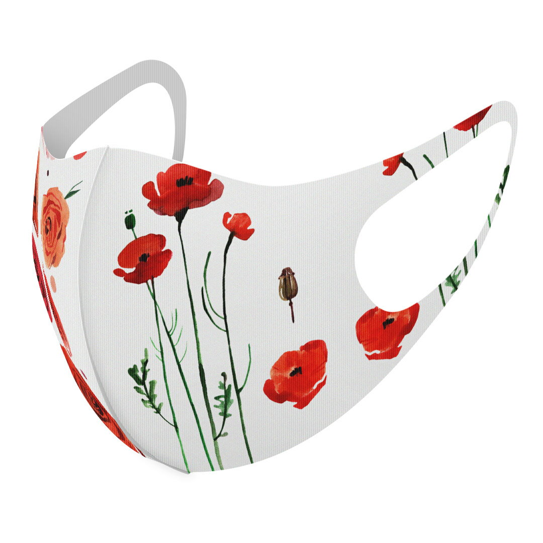 2枚 デザインマスク 洗えるマスク おしゃれ