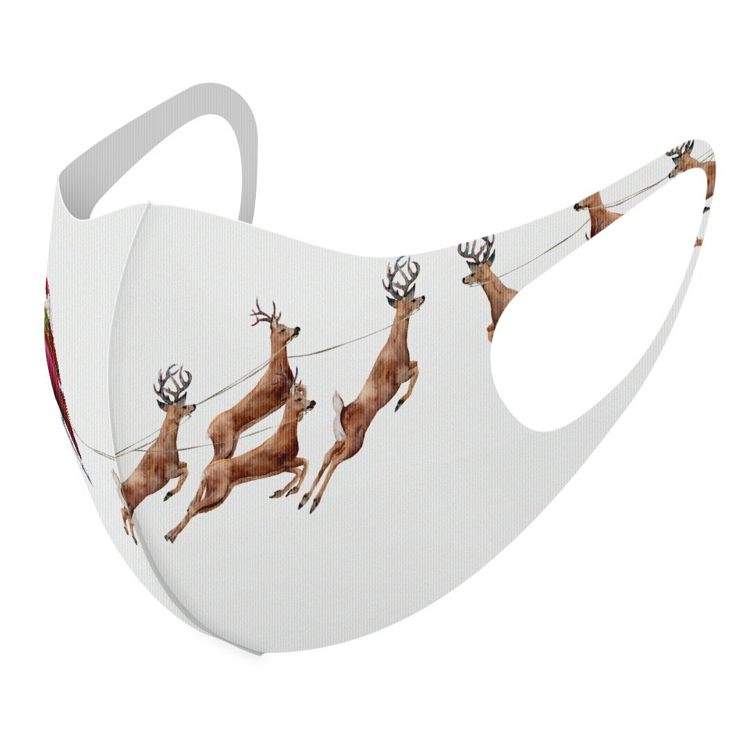 2枚セット デザインマスク 洗えるマスク おしゃれ 人気 ファッション ポリエステル 布マスク 洗って 繰り返し 大人用 子供用 普通 メンズ レディース 男性 女性 こども ジュニア キッズ 幼児 未就学児 015830 サンタ トナカイ そり