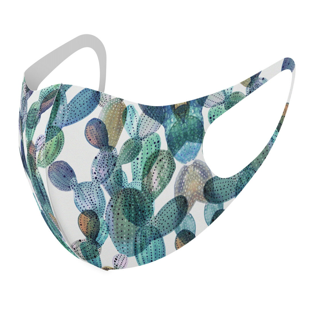 2枚セット デザインマスク 洗えるマスク おしゃれ 人気 ファッション ポリエステル 布マスク 洗って 繰り返し 大人用 子供用 普通 メンズ レディース 男性 女性 こども ジュニア キッズ 幼児 未就学児 016359 サボテン　植物　グラデーション