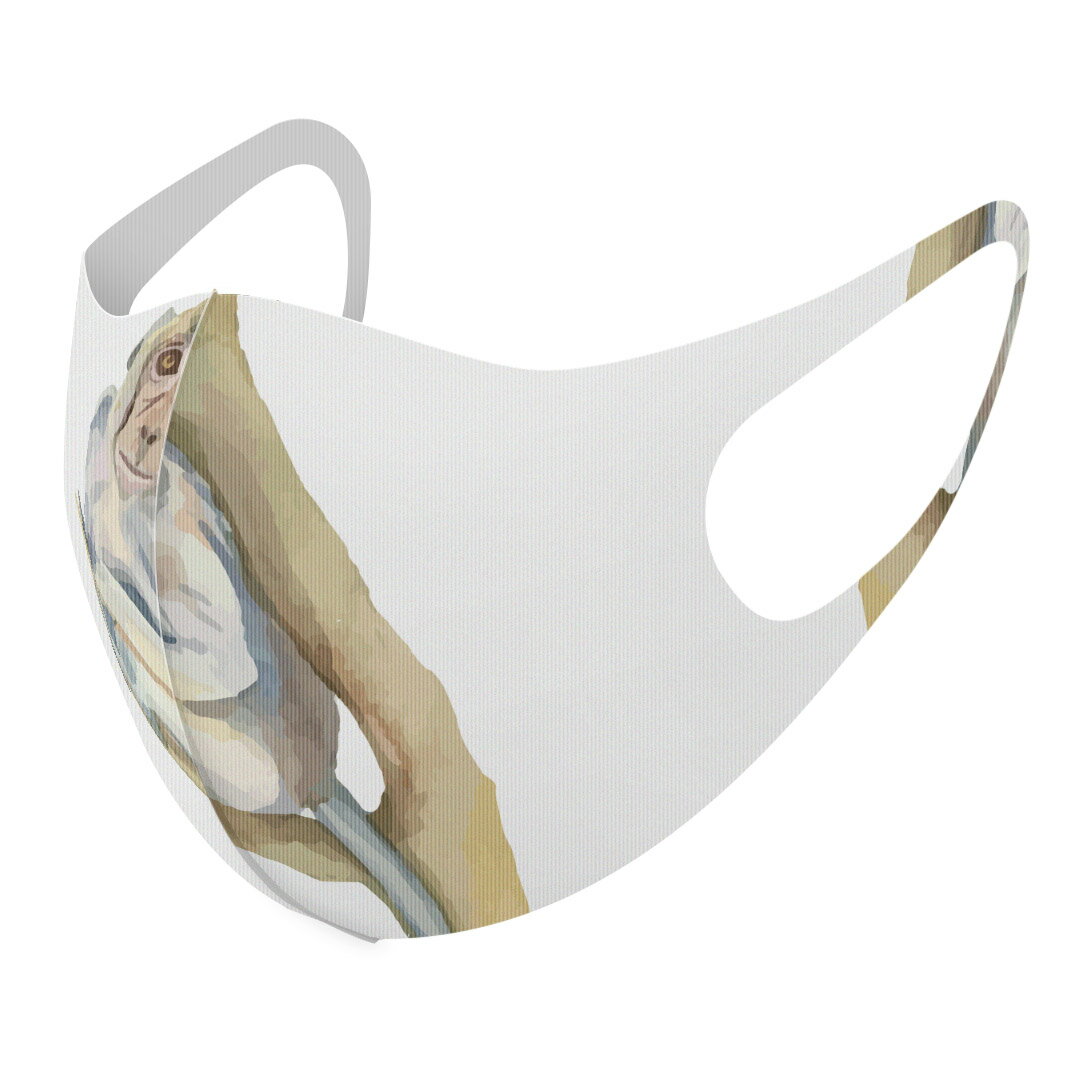 2枚セット デザインマスク 洗えるマスク おしゃれ 人気 ファッション ポリエステル 布マスク 洗って 繰り返し 大人用 子供用 普通 メンズ レディース 男性 女性 こども ジュニア キッズ 幼児 未就学児 017541 アニマル　 猿　monkey　動物