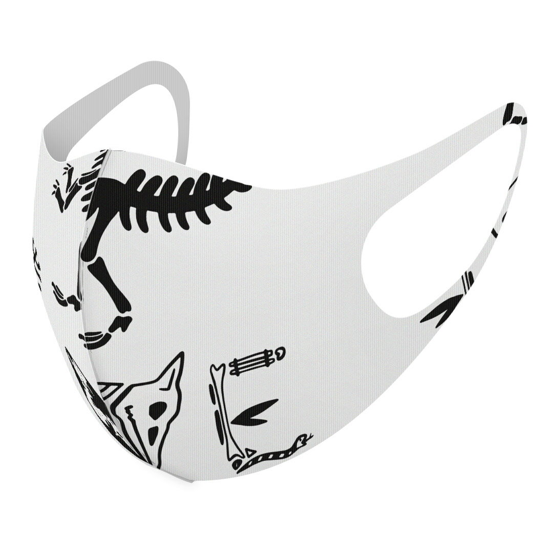 2枚セット デザインマスク 洗えるマスク おしゃれ 人気 ファッション ポリエステル 布マスク 洗って 繰..