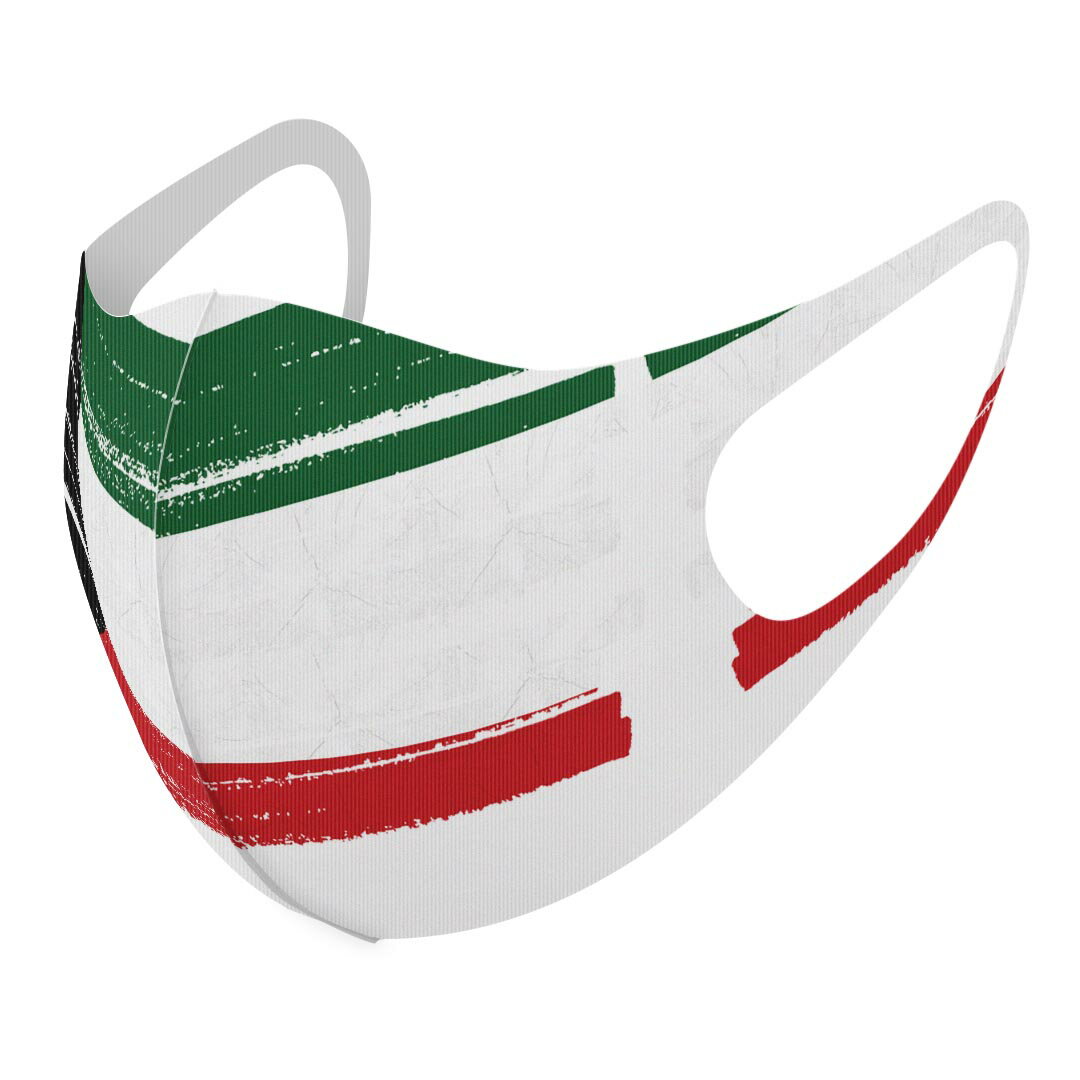 2枚セット デザインマスク 洗えるマスク おしゃれ 人気 ファッション ポリエステル 布マスク 洗って 繰り返し 大人用 子供用 普通 メンズ レディース 男性 女性 こども ジュニア キッズ 幼児 未就学児 018484 国旗 kuwait クウェート