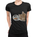 tシャツ レディース 半袖 ブラック 黒 デザイン M L Tシャツ ティーシャツ T shirt 002741 猫 動物 写真