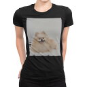 tシャツ レディース 半袖 ブラック 黒 デザイン M L Tシャツ ティーシャツ T shirt 002912 犬 動物 写真