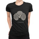 tシャツ レディース 半袖 ブラック 黒 デザイン M L Tシャツ ティーシャツ T shirt 022608 犬 プードル