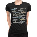 tシャツ レディース 半袖 ブラック 黒 デザイン S M L XL Tシャツ ティーシャツ T shirt 032198 鮫 シャーク