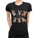 tシャツ レディース 半袖 ブラック 黒 デザイン M L Tシャツ ティーシャツ T shirt 016231 犬 コーギー