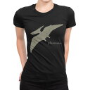tシャツ レディース 半袖 ブラック 黒 デザイン M L Tシャツ ティーシャツ T shirt 017563 ダイナソー 恐竜 Dinosaur プテラノド...