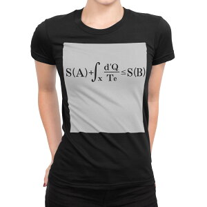 tシャツ レディース 半袖 ブラック 黒 デザイン S M L XL Tシャツ ティーシャツ T shirt 017710 方程式 熱力学第二法則 エントロピー増大則 方程式