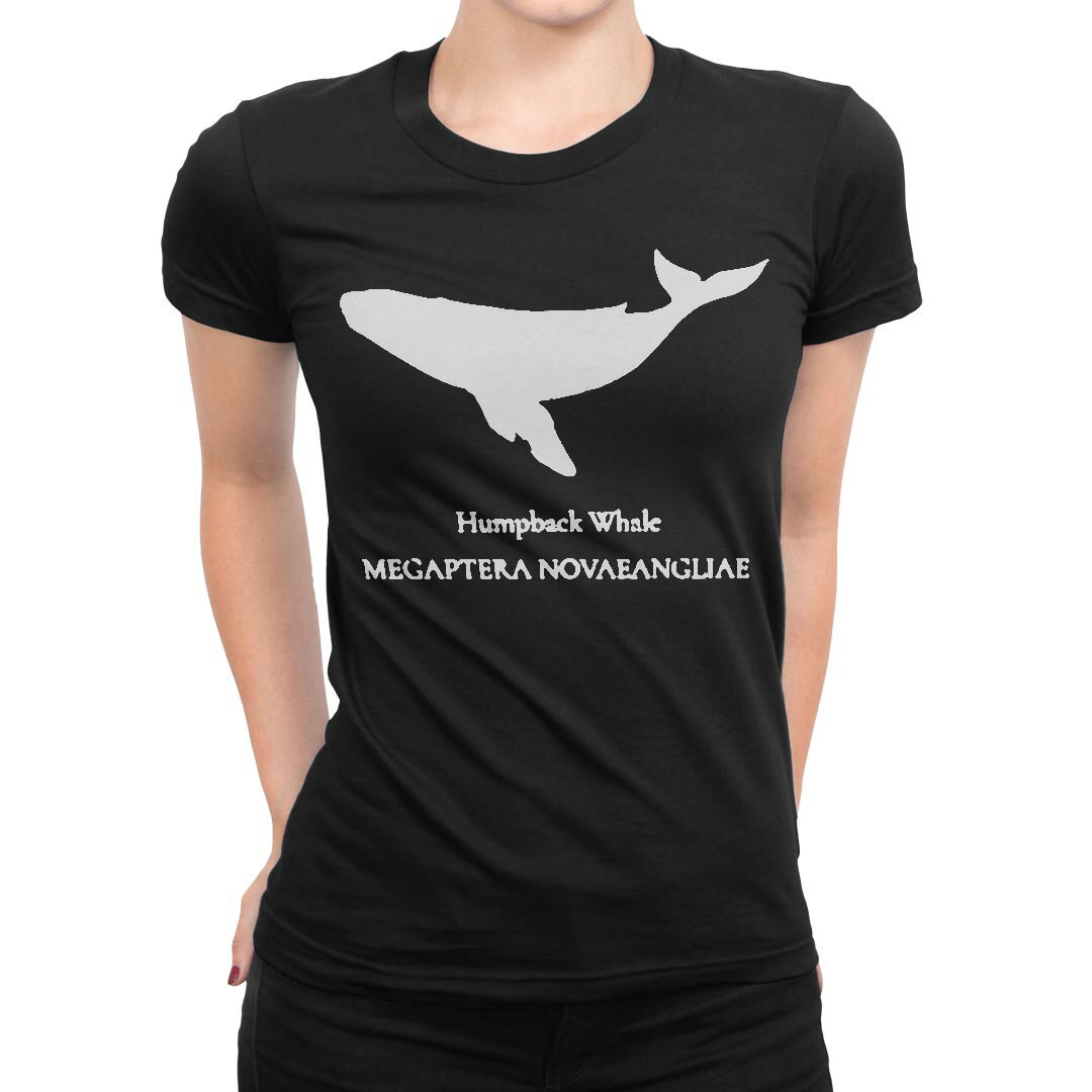 tシャツ レディース 半袖 ブラック 黒 デザイン M L Tシャツ ティーシャツ T shirt 019740 海の生物 ザトウクジラ Humpback whale