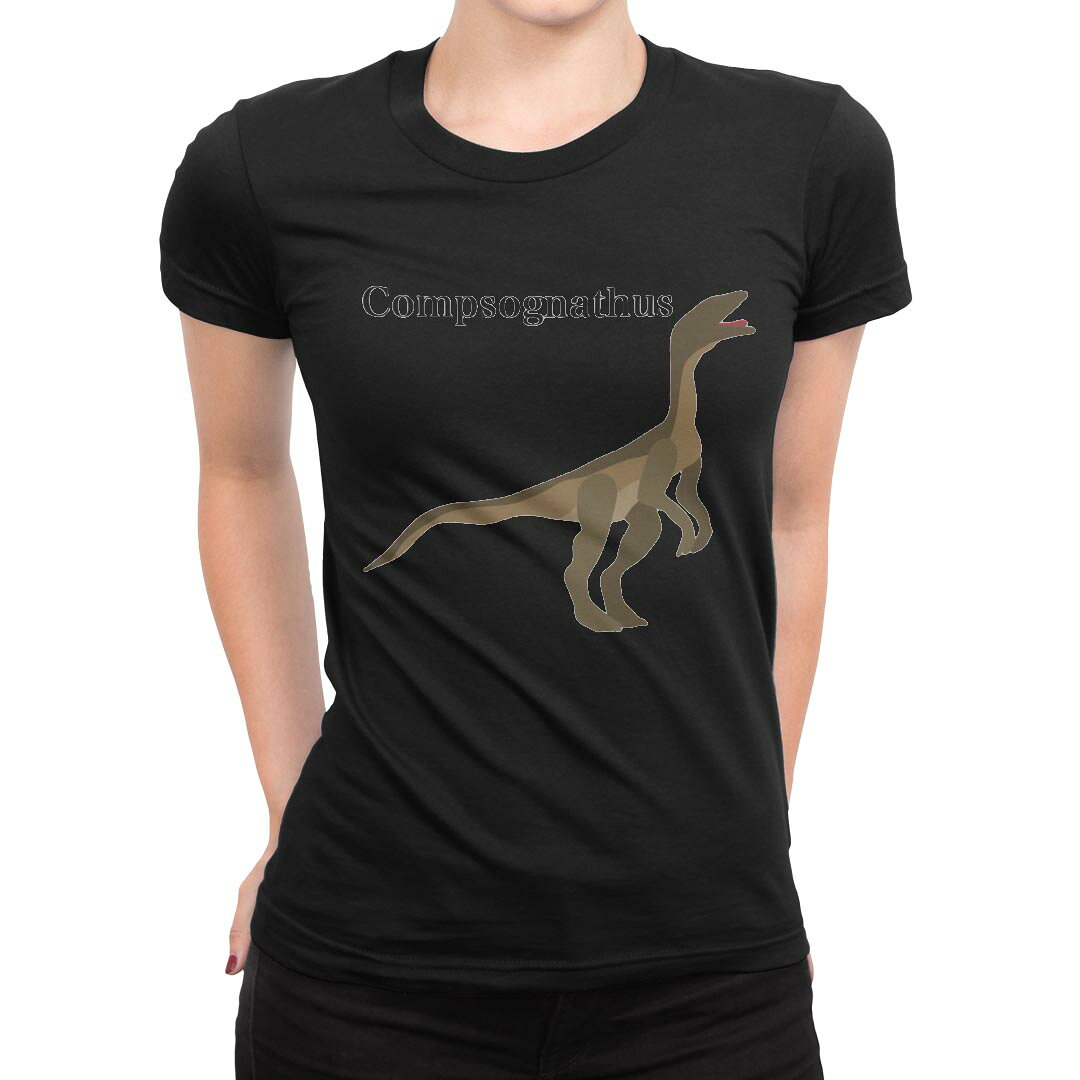 tシャツ レディース 半袖 ブラック 黒 デザイン M L Tシャツ ティーシャツ T shirt 019778 恐竜 Compsognathus コンプソグナトゥス kabekore-11279529 kabeコレ パッケージ画像