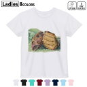 ドライTシャツ 吸水 速乾 DRY 選べる8カラー tシャツ レディース スポーツ ゆったり UV対策 デザイン M L Tシャツ ティーシャツ T shirt008065 イラスト 水彩 グローブ 野球