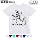 ドライTシャツ 吸水 速乾 DRY 選べる8カラー tシャツ レディース スポーツ ゆったり UV対策 デザイン M L Tシャツ ティーシャツ T shirt009127 さそり 黒 シンプル(4)