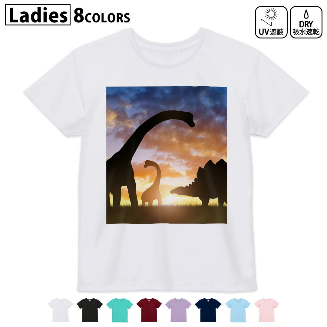 ドライTシャツ 吸水 速乾 DRY 選べる8カラー tシャツ レディース スポーツ ゆったり UV対策 デザイン M L Tシャツ ティーシャツ T shirt013281 恐竜 シルエット 夕日