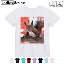 ドライTシャツ 吸水 速乾 DRY 選べる8カラー tシャツ レディース スポーツ ゆったり UV対策 デザイン M L Tシャツ ティーシャツ T shirt014830 冬 動物 リス 紅葉