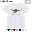 ドライTシャツ 吸水 速乾 DRY 選べる8カラー tシャツ レディース スポーツ ゆったり UV対策 デザイン M L Tシャツ ティーシャツ T shirt019782 恐竜 dicraeosaurus ディクラエオサウルス 1,580円