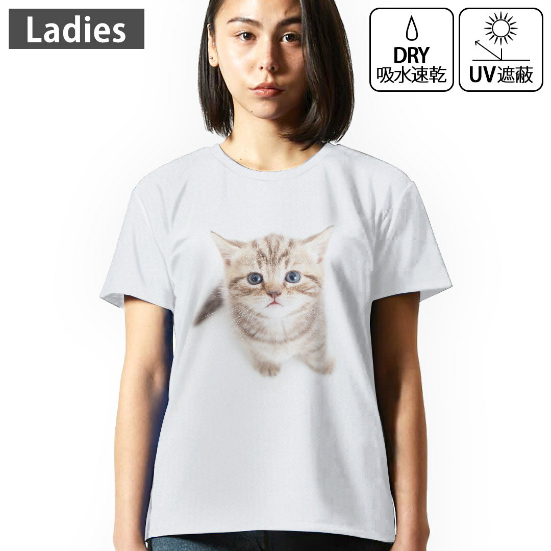 レディース ドライTシャツ ホワイト 半袖 4.1オンス ジム トレーニング スポーツ 運動会 ドライアスレチック UVカット 紫外線遮蔽 吸水速乾 デザイン Tshirt M L アニマル ネコ　動物 001194