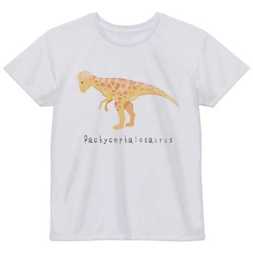 レディース ドライTシャツ ホワイト 半袖 4.1オンス ジム トレーニング スポーツ 運動会 ドライアスレチック UVカット 紫外線遮蔽 吸水速乾 デザイン Tshirt M L 恐竜 パキケファロサウルス Pachycephalosaurus 恐竜 017690