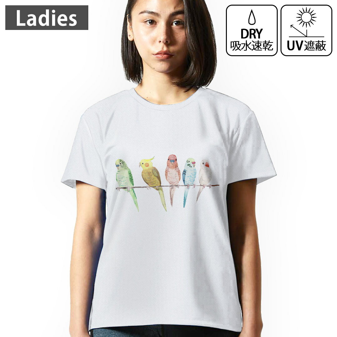 レディース ドライTシャツ ホワイト 半袖 4.1オンス ジム トレーニング スポーツ 運動会 ドライアスレチック UVカット 紫外線遮蔽 吸水速乾 デザイン Tshirt M L 鳥　インコ　アニマル 014042