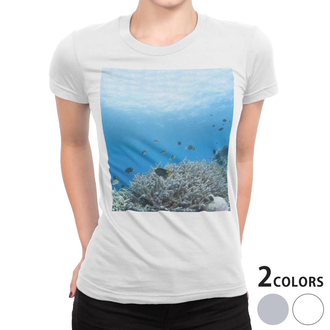 tシャツ レディース 半袖 白地 デザイン S M L XL Tシャツ ティーシャツ T shirt 000060 アニマル 海　魚　自然　サンゴ