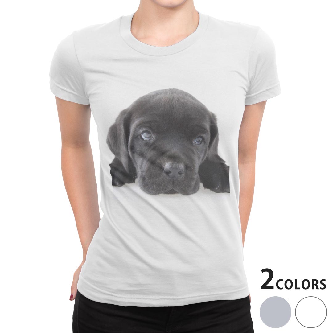 tシャツ レディース 半袖 ホワイト グレー 白　灰色 デザイン S M L XL Tシャツ ティーシャツ T shirt上記で使用したデザインTシャツはこちら▼女性用半袖Tシャツ　ホワイト・グレー全デザインはこちらから▼ ▼女性用半袖Tシ...