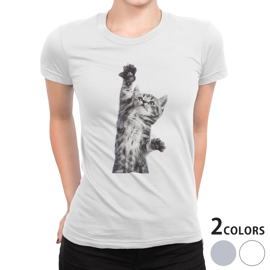 tシャツ レディース 半袖 白地 デザイン M L 白 ホワイト グレー Tシャツ ティーシャツ T shirt 001200 アニマル ネコ　動物