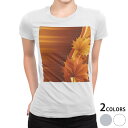 tシャツ レディース 半袖 白地 デザイン M L 白 ホワイト グレー Tシャツ ティーシャツ T shirt 001251 フラワー 紅葉 秋