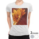tシャツ レディース 半袖 白地 デザイン M L 白 ホワイト グレー Tシャツ ティーシャツ T shirt 001252 フラワー 紅葉 秋