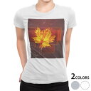tシャツ レディース 半袖 白地 デザイン M L 白 ホワイト グレー Tシャツ ティーシャツ T shirt 001253 フラワー 紅葉 秋