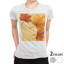 tシャツ レディース 半袖 白地 デザイン M L 白 ホワイト グレー Tシャツ ティーシャツ T shirt 001301 フラワー 紅葉 秋