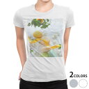 tシャツ レディース 半袖 白地 デザイン M L 白 ホワイト グレー Tシャツ ティーシャツ T shirt 002617 写真・風景 フラワー マカロン 花 黄色