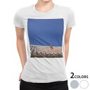 tシャツ レディース 半袖 白地 デザイン M L 白 ホワイト グレー Tシャツ ティーシャツ T shirt 002774 写真・風景 沖縄 シーサー 写真