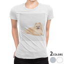 tシャツ レディース 半袖 白地 デザイン M L 白 ホワイト グレー Tシャツ ティーシャツ T shirt 002911 アニマル 犬 動物 写真(4)
