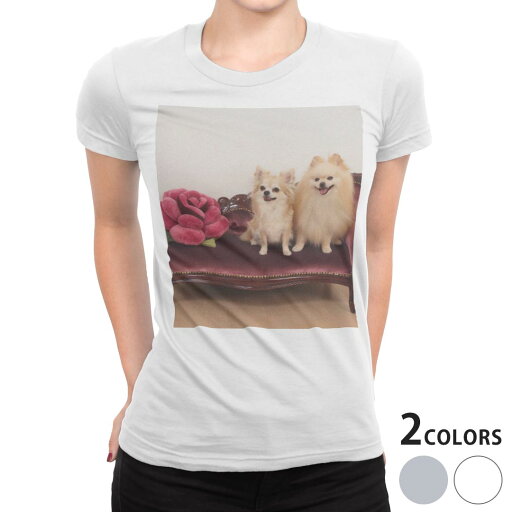 tシャツ レディース 半袖 白地 デザイン M L 白 ホワイト グレー Tシャツ ティーシャツ T shirt 002913 アニマル 犬 動物 写真 tシャツ レディース 半袖 白地 デザイン M L 白 ホワイト グレー Tシャツ ティーシャツ T shirt 002913 アニマル 犬 動物 写真